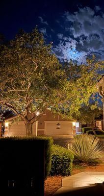 The Victorian Leasing Office