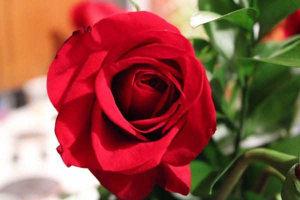 Capturesbycorey Photography