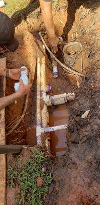 All Seasons Property Solutions