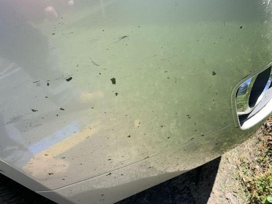 Atlas Outdoor Services