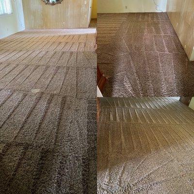 America's Carpet Guy