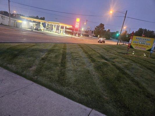 Nunez Stump Removal N More