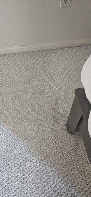 JS Carpet Cleaning
