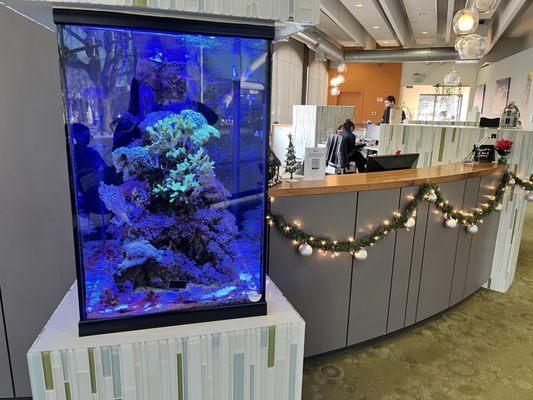 Nice fish tank!