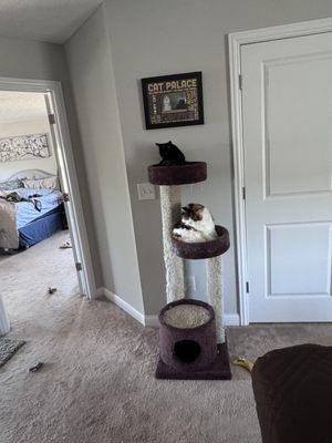 Parsons Animal Clinic