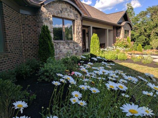 Native Design & Hardscape
