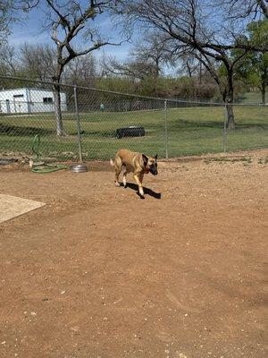 Granbury Bark Park
