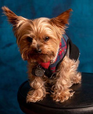 No matter the subject ! We got it covered