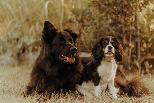 Ernest & Aurelia Film and Photo