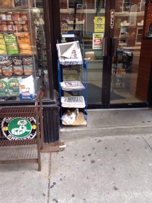 8 Street Mini Market