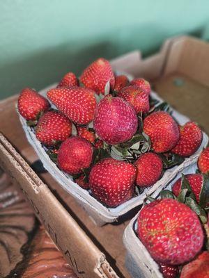 Napiers Midtown Market