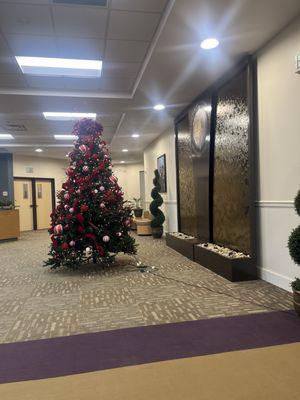 One of the trees on the lower level