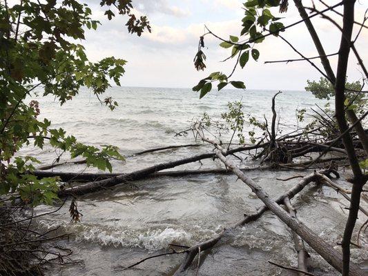 Shorewood Nature Preserve