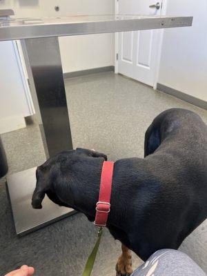 Rising Sun Veterinary Clinic