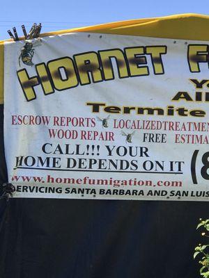 Hornet Fumigation