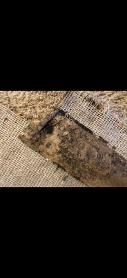 Kacena Real Estate Management