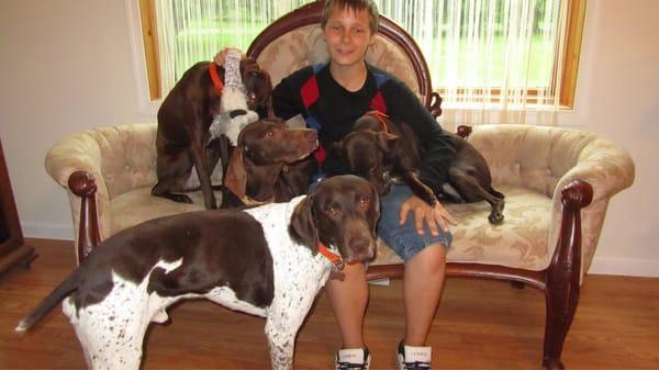 Hidden Valley Kennels