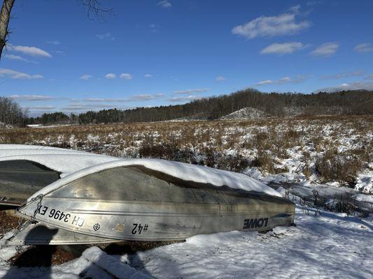 What was a lake is now a forest.