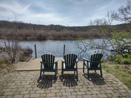 Beautiful spot on the dock to watch turtles sunning