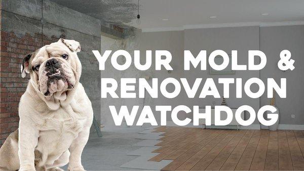 247 Renovation