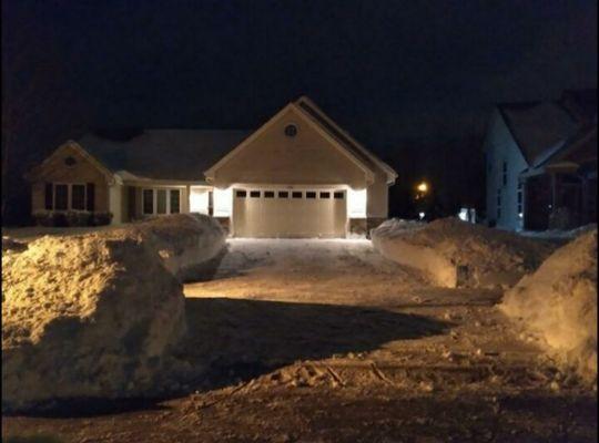 Oasis Snow & Tree Removal