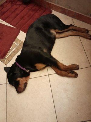 Stockwell Construction