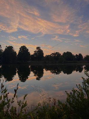 Lamar Park