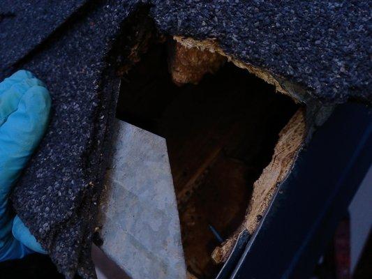 Ecoshield Pest Control