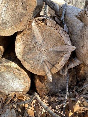 Pretty darn groovy sectional view cut.