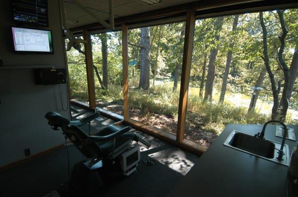 Fredric L Bonine, DDS, MS, PC