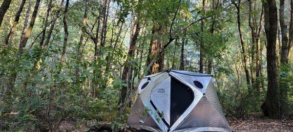 Hendy Woods State Park