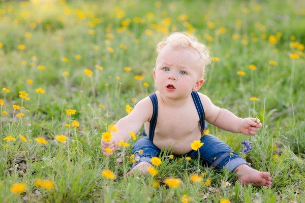 Honeybee Photography