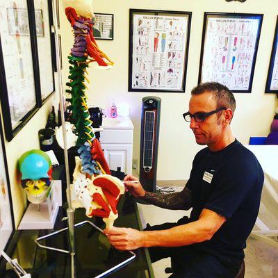 Understanding the muscles of the lower extremity especially the Psoas, for lower back pain.