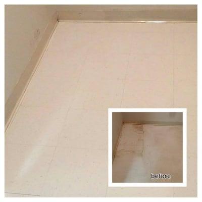 J&S Janitorial Solutions