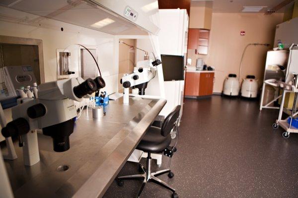 The Wellness Center -- Boston IVF