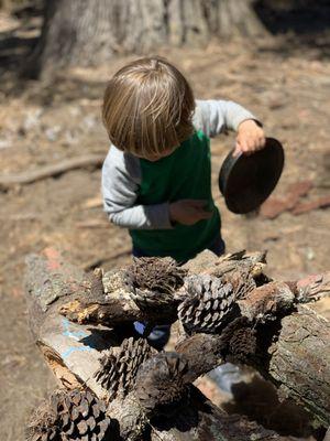 Forest Play Preschool