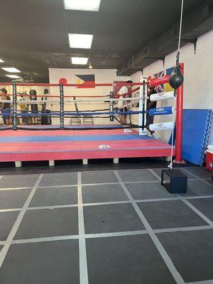 The boxing ring