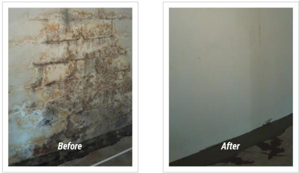 Now Dry Basement Waterproofing