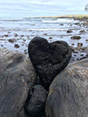 Hawaii County Economic Opportunity Council