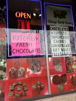 Chicago Turtle Factory