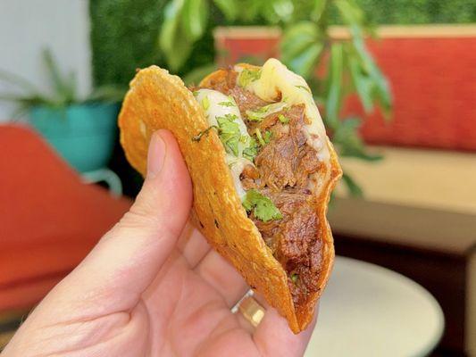 Quesabirria Taco (lamb)