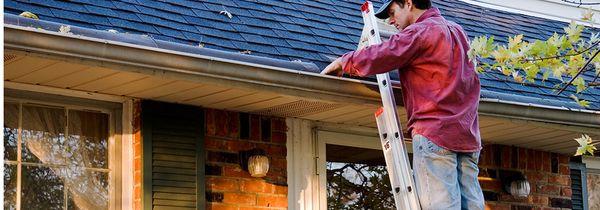 Shark Window Cleaning