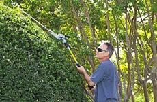 American Tree Company