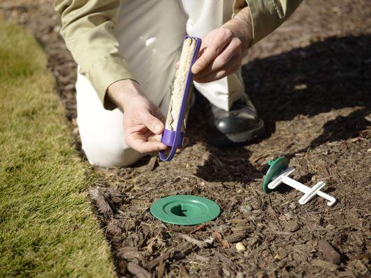 Delta Termite & Pest Control, Inc