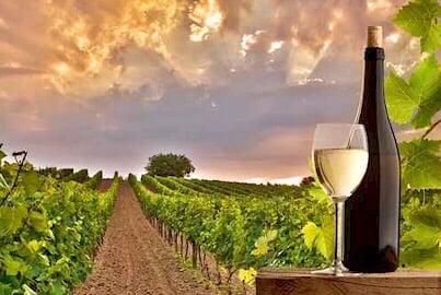 Executive Taxi Service