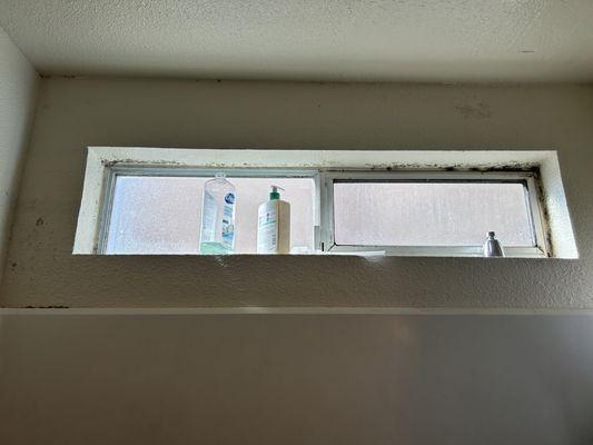 mold in bathroom
