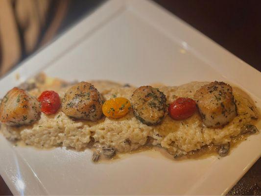 Scallops with Mushroom Risotto