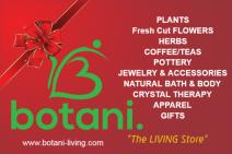 GRAND OPENING Sneak Peek BLACK FRIDAY, November 29th! 12p-5p