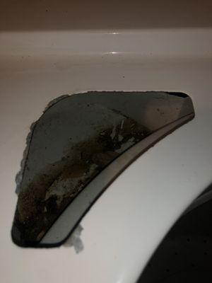 Damaged fabric softener dispenser filled with leaves.