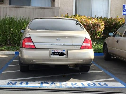 Pinetree Park Apartments